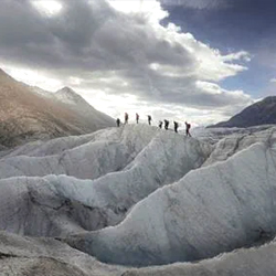 ALETSCH PARADISE, MOOSFLUH
